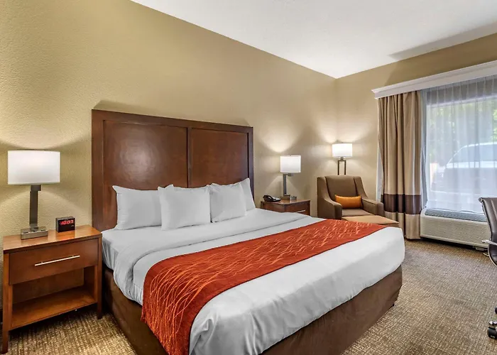 Comfort Inn South