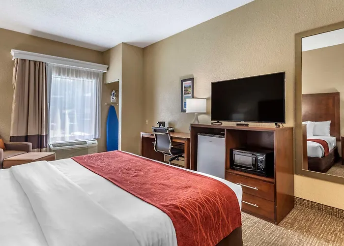 Comfort Inn South